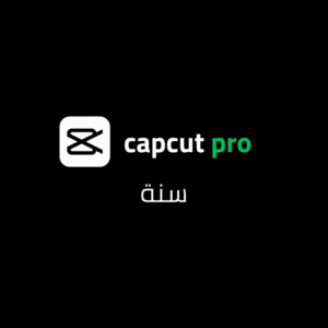 🔹 Capcat – اشتراك سنة