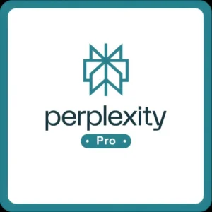 Perplexity Ai 1 year
