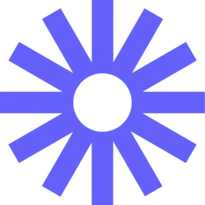 Loom Screen Recorder 1 year